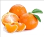 http://www.produceoasis.com/Uploads/tangerine.jpg